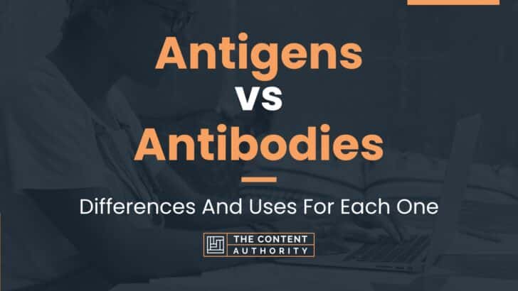 Antigens vs Antibodies: Differences And Uses For Each One