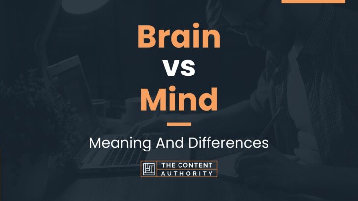 Brain vs Mind: Meaning And Differences