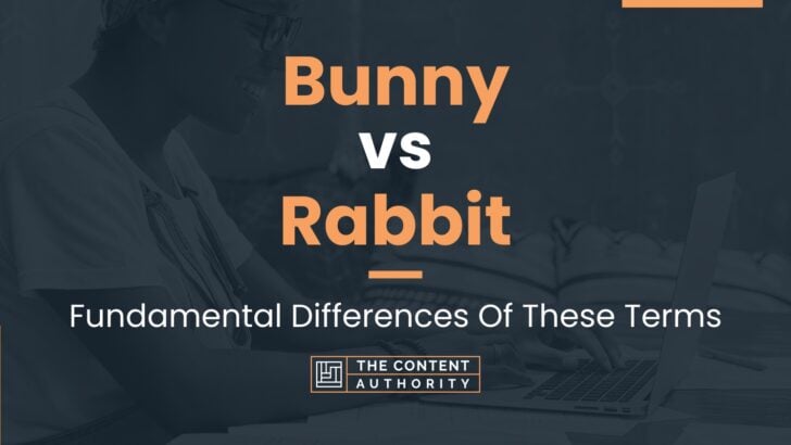 Bunny vs Rabbit: Fundamental Differences Of These Terms