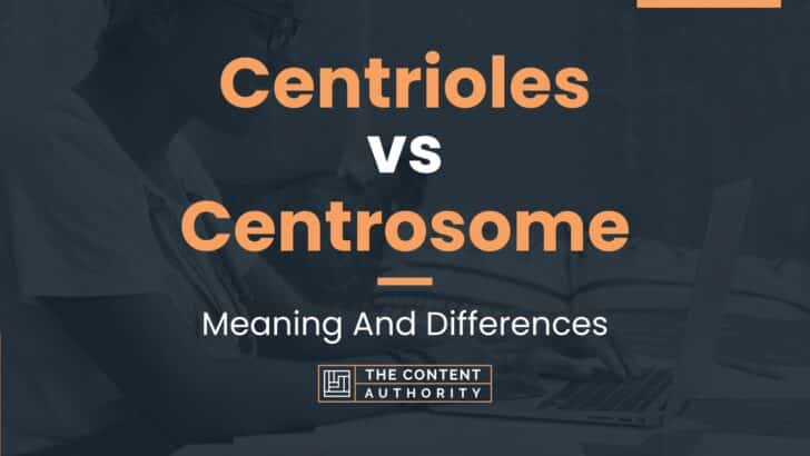 Centrioles vs Centrosome: Meaning And Differences