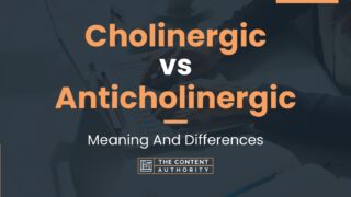 Cholinergic Vs Anticholinergic Meaning And Differences