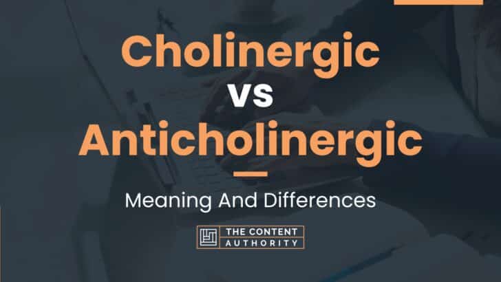 Cholinergic vs Anticholinergic: Meaning And Differences