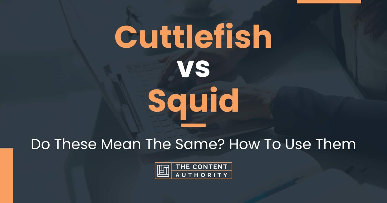 Cuttlefish vs Squid: Do These Mean The Same? How To Use Them