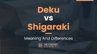 Deku Vs Shigaraki: Meaning And Differences