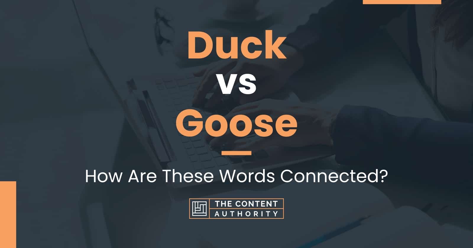 Duck vs Goose: How Are These Words Connected?