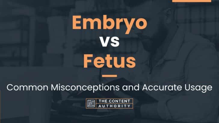 Embryo vs Fetus: Common Misconceptions and Accurate Usage