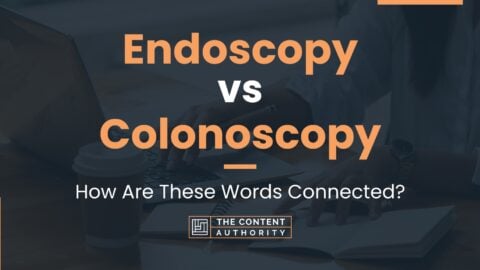 Endoscopy vs Colonoscopy: How Are These Words Connected?