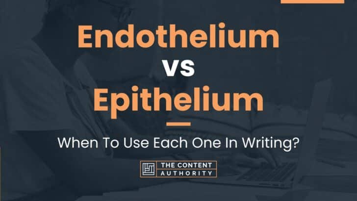 Endothelium vs Epithelium: When To Use Each One In Writing?