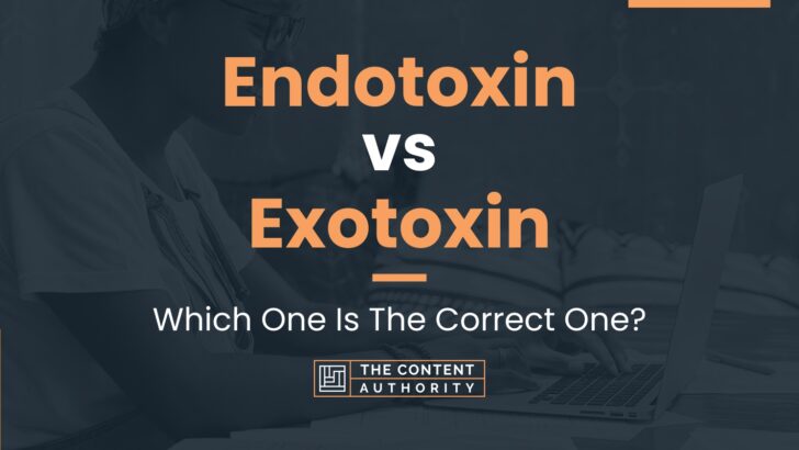 Endotoxin vs Exotoxin: Which One Is The Correct One?