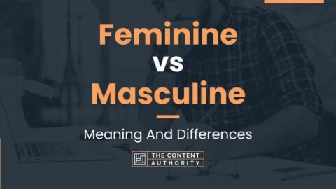 Feminine vs Masculine: Meaning And Differences