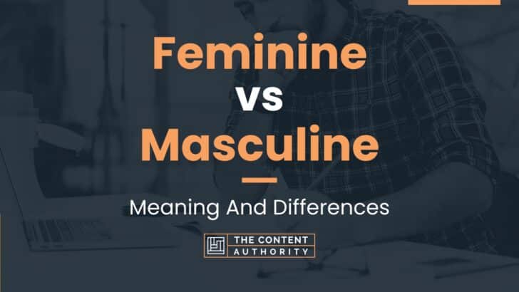 Feminine Vs Masculine Meaning And Differences