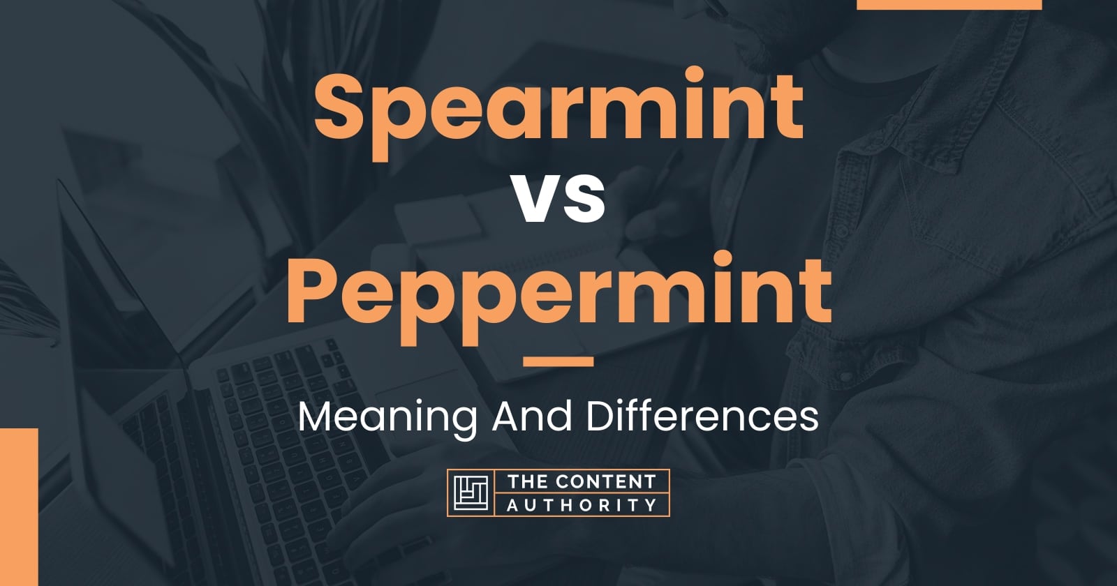 Spearmint vs Peppermint Meaning And Differences
