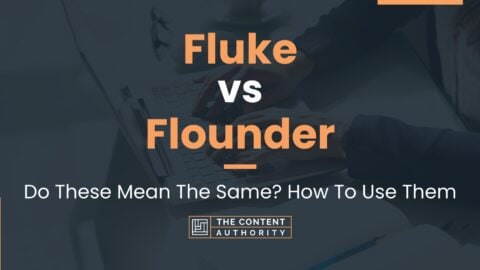 Fluke vs Flounder: Do These Mean The Same? How To Use Them