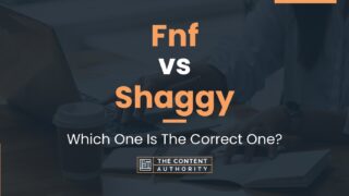 Fnf vs Shaggy: Which One Is The Correct One?