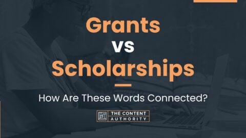 Grants vs Scholarships: How Are These Words Connected?