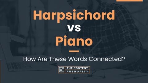 Harpsichord vs Piano: How Are These Words Connected?