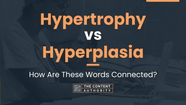Hypertrophy vs Hyperplasia: How Are These Words Connected?