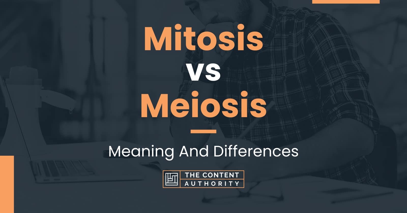 Mitosis vs Meiosis: Meaning And Differences Biology Diagrams
