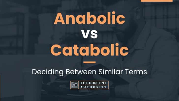 Anabolic vs Catabolic: Deciding Between Similar Terms
