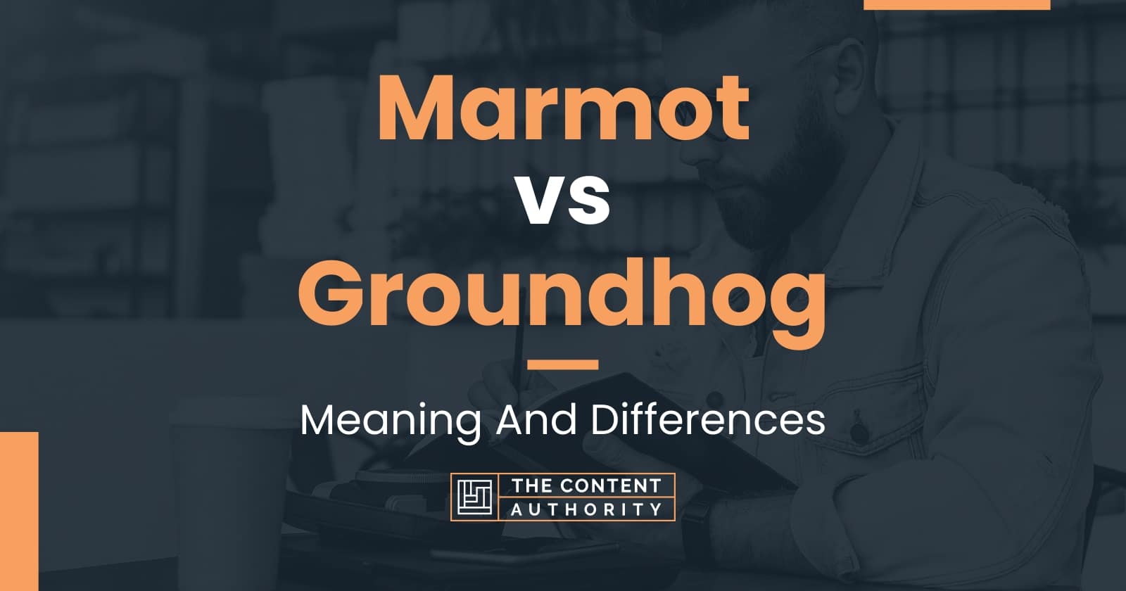 Marmot vs Groundhog: Meaning And Differences