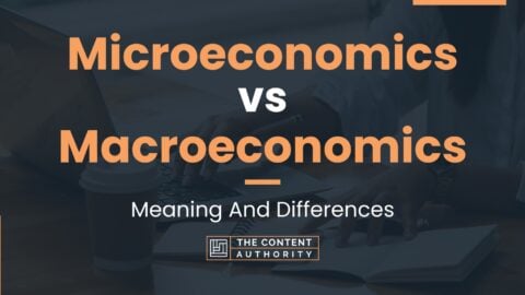 Microeconomics vs Macroeconomics: Meaning And Differences