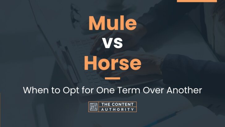 Mule vs Horse: When to Opt for One Term Over Another
