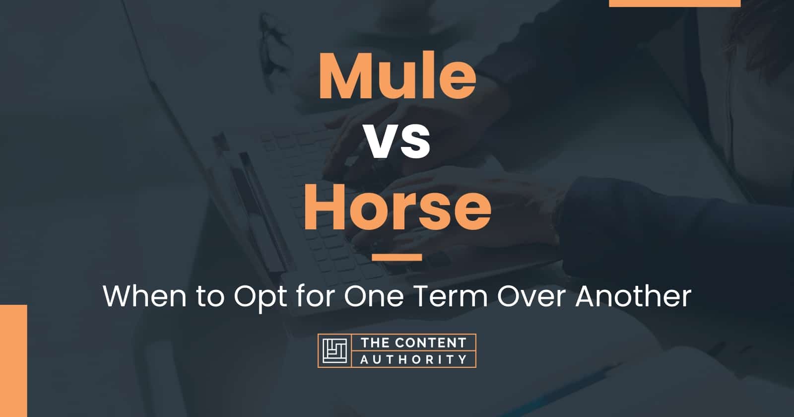 Mule vs Horse When to Opt for One Term Over Another