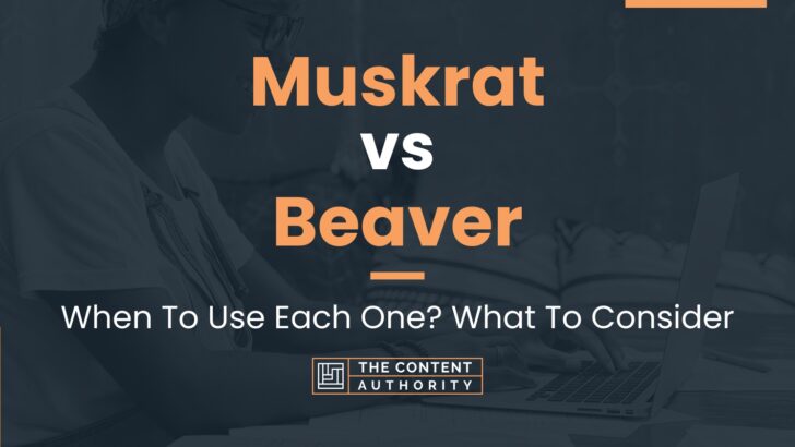 Muskrat vs Beaver: When To Use Each One? What To Consider