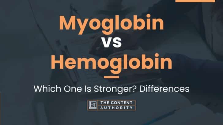 Myoglobin vs Hemoglobin: Which One Is Stronger? Differences