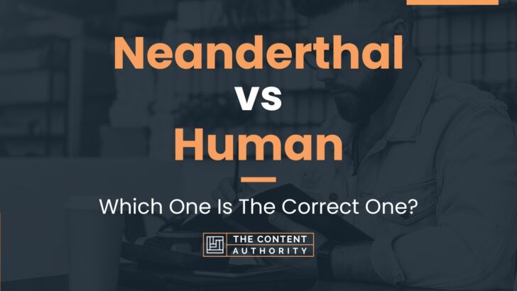 Neanderthal vs Human: Which One Is The Correct One?