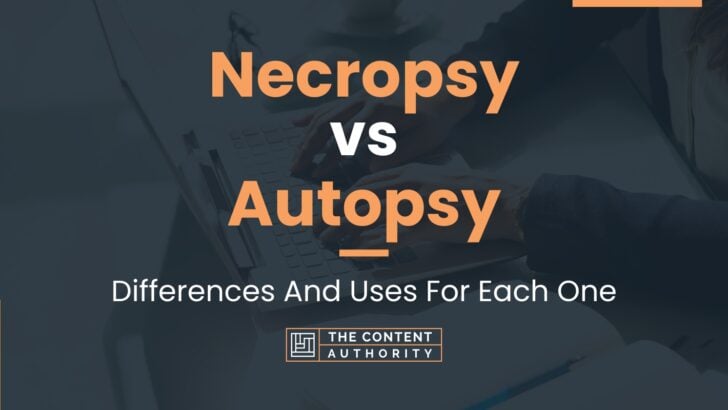 Necropsy vs Autopsy: Differences And Uses For Each One