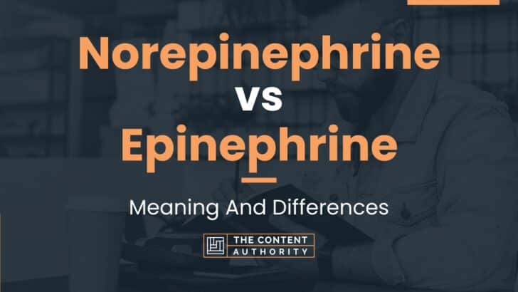 Norepinephrine vs Epinephrine: Meaning And Differences