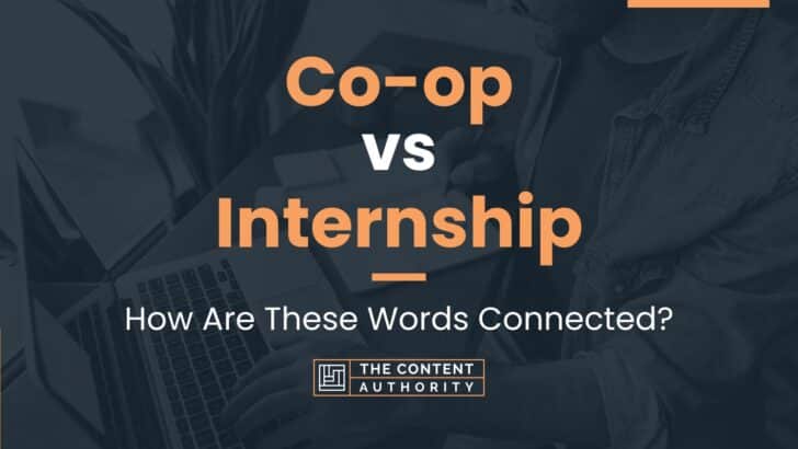 co-op-vs-internship-how-are-these-words-connected