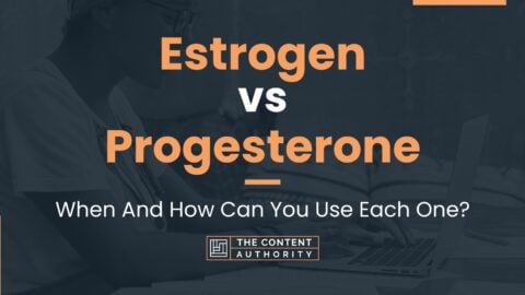 Estrogen vs Progesterone: When And How Can You Use Each One?