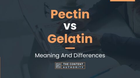 Pectin vs Gelatin: Meaning And Differences