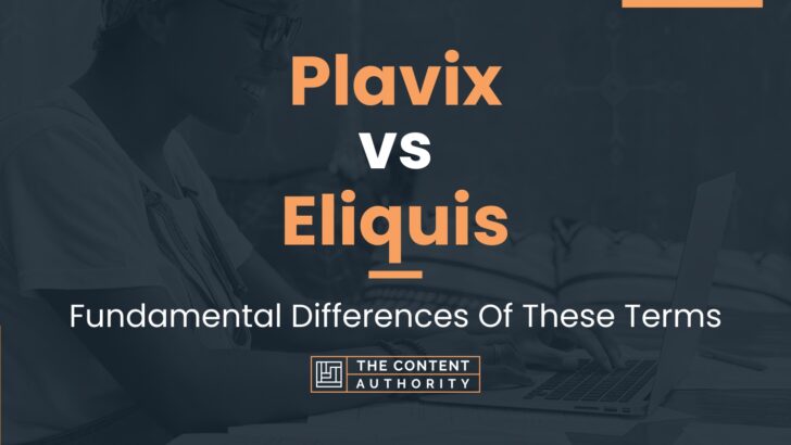 Plavix vs Eliquis: Fundamental Differences Of These Terms