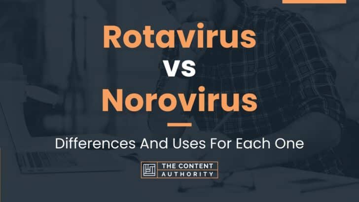 Rotavirus vs Norovirus: Differences And Uses For Each One