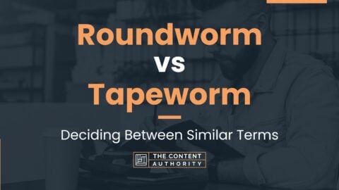 Roundworm vs Tapeworm: Deciding Between Similar Terms