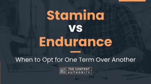 stamina vs endurance