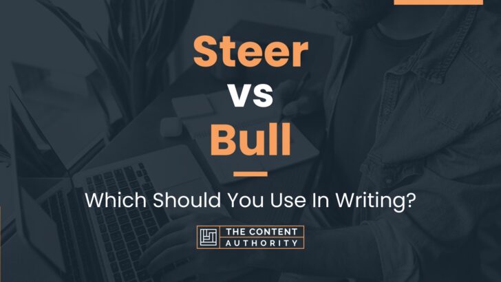 Steer vs Bull: Which Should You Use In Writing?