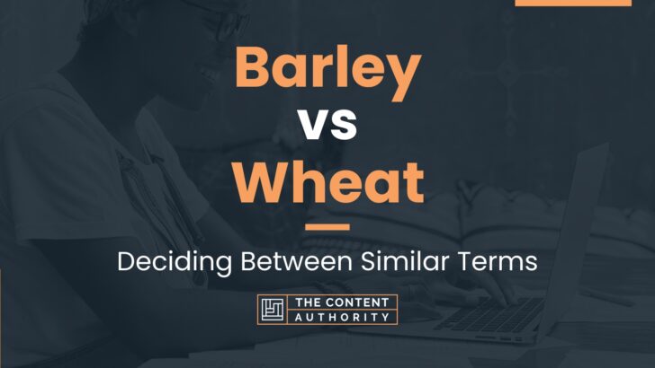 Barley Vs Wheat Deciding Between Similar Terms