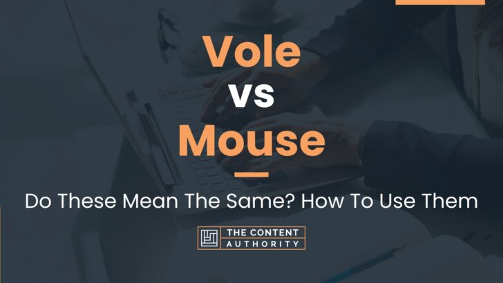 Vole vs Mouse: Do These Mean The Same? How To Use Them