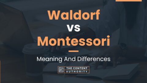 Waldorf vs Montessori: Meaning And Differences