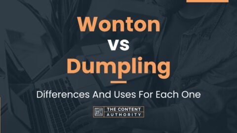 Wonton vs Dumpling: Differences And Uses For Each One