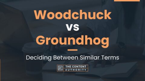 Woodchuck vs Groundhog: Deciding Between Similar Terms