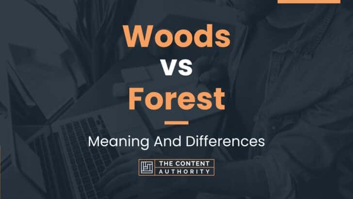 Woods vs Forest: Meaning And Differences