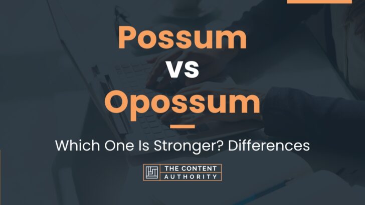 Possum vs Opossum: Which One Is Stronger? Differences