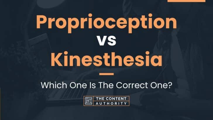 Proprioception Vs Kinesthesia Which One Is The Correct One 