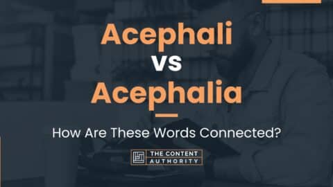 Acephali vs Acephalia: How Are These Words Connected?