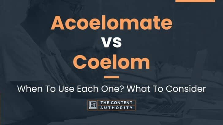 Acoelomate vs Coelom: When To Use Each One? What To Consider